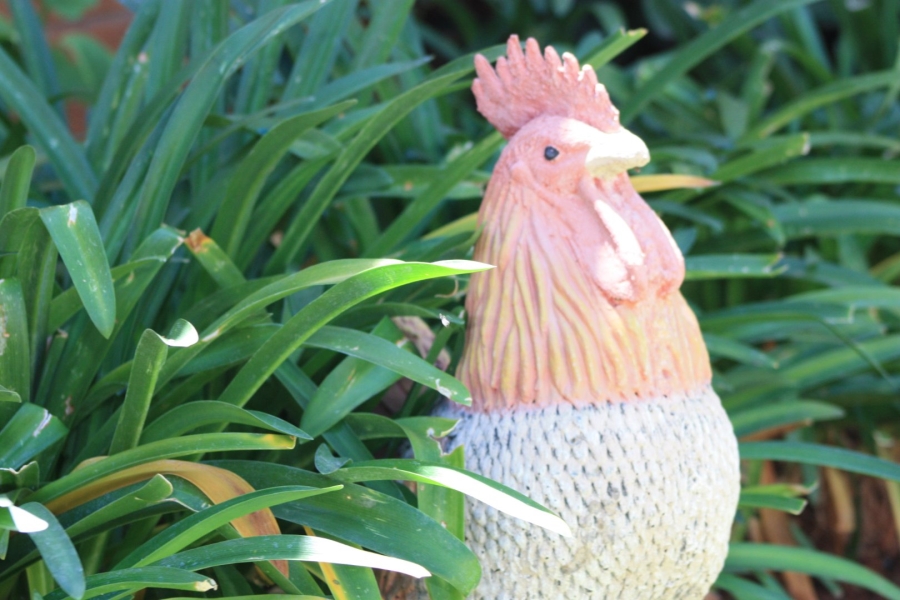 1 Bedroom Property for Sale in Langenhovenpark Free State